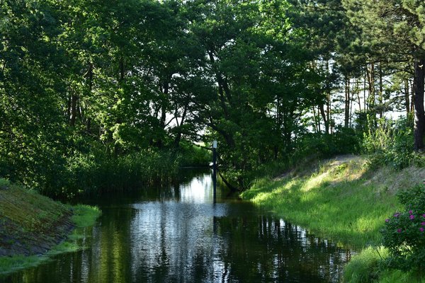 Les ergothérapeutes face au handicap : missions et défis